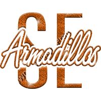 GLT95 ORANGE GLITTER Thumbnail